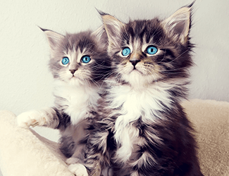 低空無人機測繪:高效、精確、廣泛應(yīng)用的新興技術(shù)